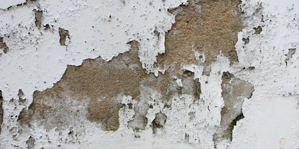 Pintar Fachadas de Empresas / Negocios / Locales Comerciales en Tarragona · Pintura Antihumedad / Antimoho para Humedades / Moho