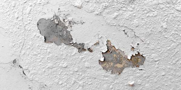 Pintar Fachadas de Naves Industriales, Fábricas y Almacenes Alforja · Pintura Antihumedad / Antimoho para Humedades / Moho